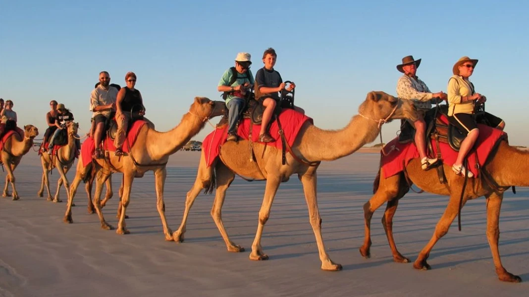Luxor Safari by Camel Ride