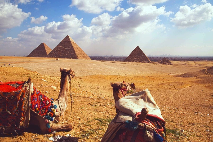 Egypt Nile Cruises