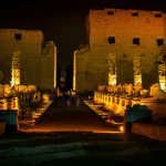 Gallery Thumbnail 13