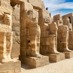 Gallery Thumbnail 12