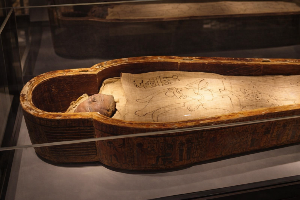 Mummification Museum